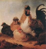 Aelbert Cuyp - Rooster And Hens